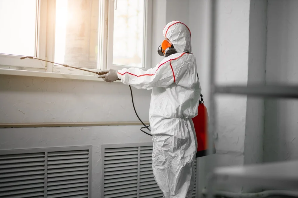 Professional mold remediation services in Princeton, LA